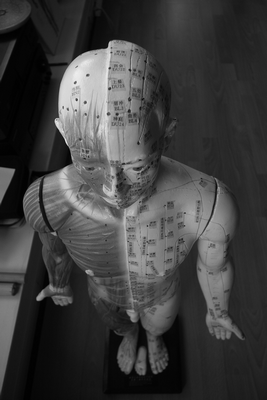 picture of a model with acupuncture points